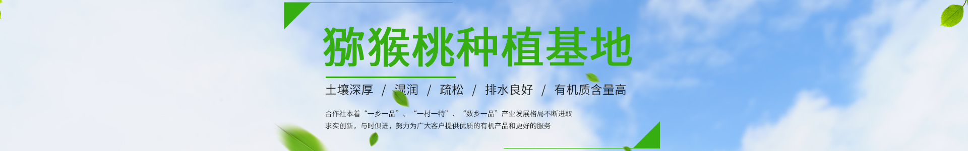 湖南省绿一佳农业科技发展有限公司