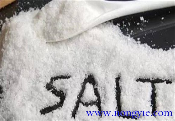 绵羊食盐中毒怎么办 绵羊食盐中毒的处理方法