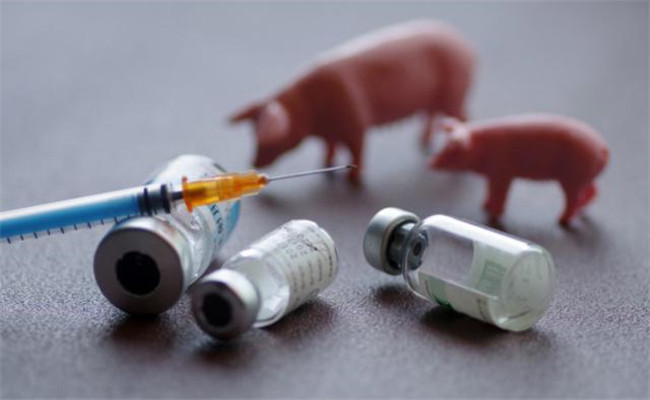 各类猪疫苗特点