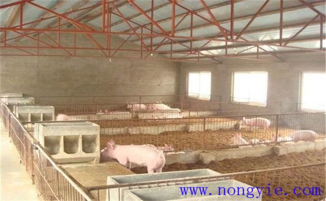 发酵床养猪场发酵床制作方法及相关要求
