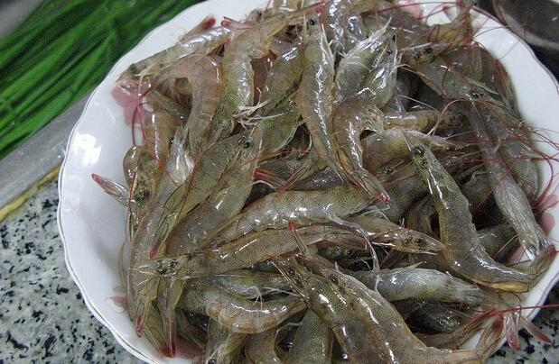 河虾的功效与作用 吃河虾的好处