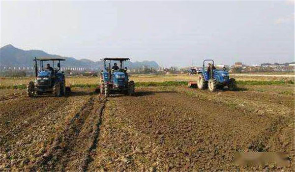 水稻直播高产栽培技术：水直播的四个要点