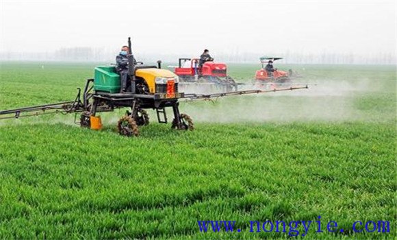 小麦返青期病虫草害主要技术措施