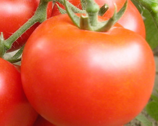 西红柿的营养价值－吃西红柿的好处