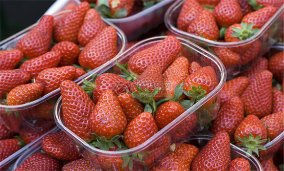 草莓怎样保管保存 草莓的储存和保鲜方法介绍