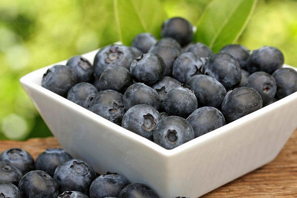 蓝莓的营养价值有哪些 吃蓝莓有什么好处