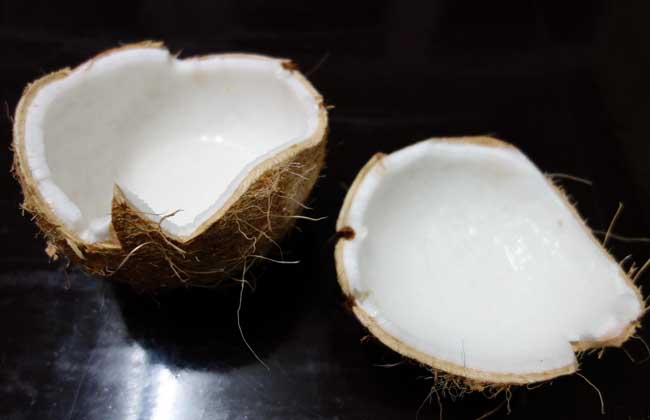 椰子的营养价值与食用功效 椰子怎么打开？
