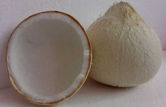 椰子粉的功效与作用有哪些 椰子粉的适宜人群