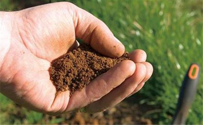 菌肥使用的两大基本原则 菌肥的作用与使用方法