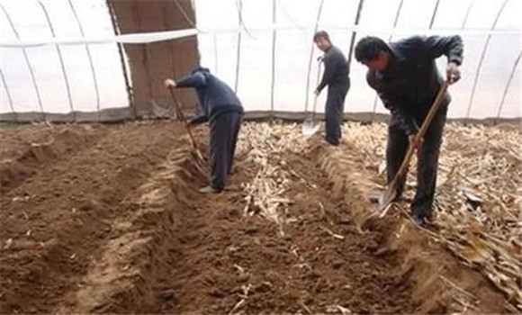 提高氮肥使用效果和减少肥料损失的技术与方法