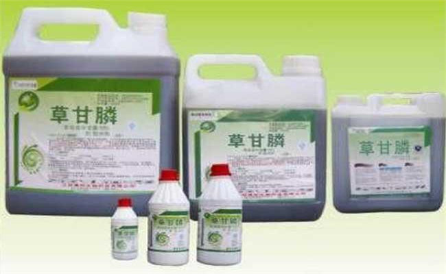 草甘膦常用技术配方，如何提高草甘膦药效