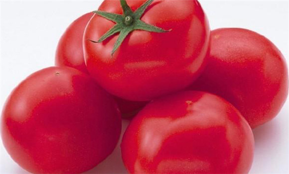 西红柿的营养价值与成分 西红柿的功效与作用