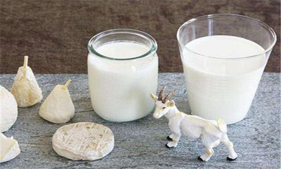 羊乳的功效是什么 羊乳的功效与作用有哪些