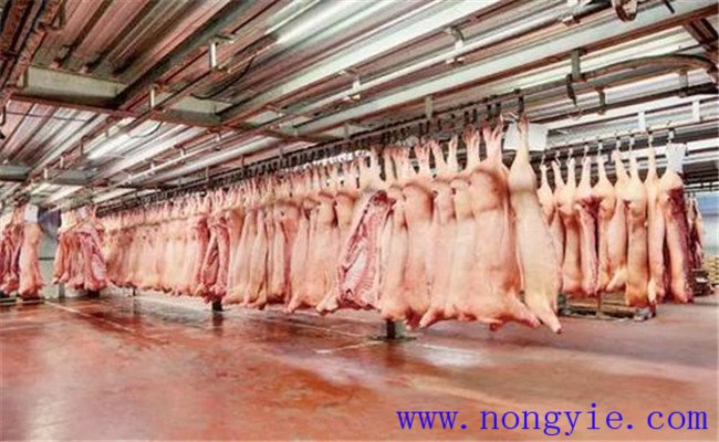 猪肉为什么要贮藏 猪肉低温贮藏的原理