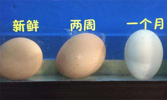 什么样的鸡蛋新鲜 鸡蛋新鲜度检测方法