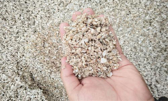 贝壳的用途有哪些 为什么说贝壳具有广泛的用途