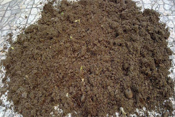 怎样用多菌灵给土壤消毒