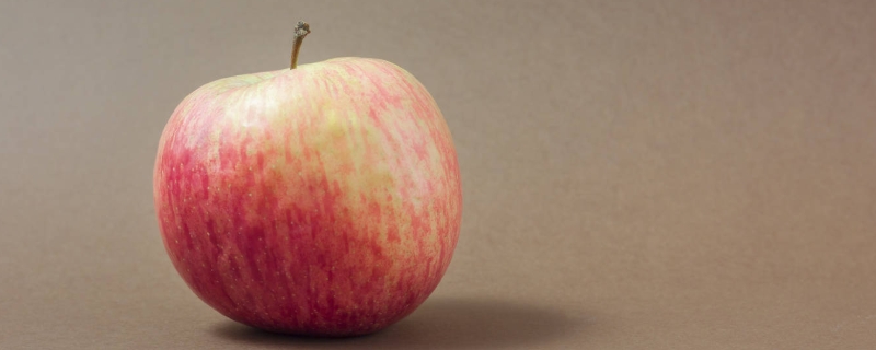 中国常见的苹果品种有哪些一般什么时候成熟主要产区有哪些