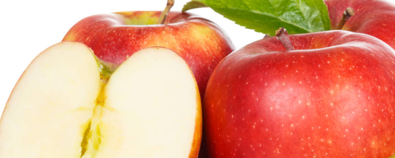 苹果普遍的病害有哪些分别如何防治