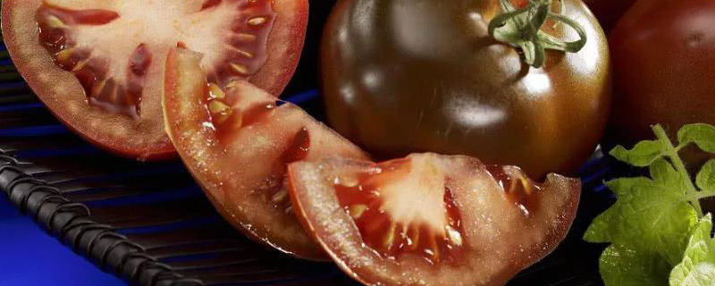 黑番茄是转基因的吗原产地在哪