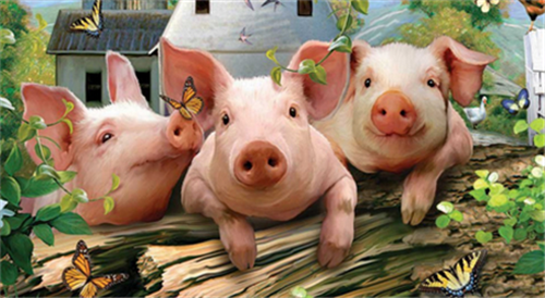 30年养猪经验：饲料加上一把小苏打，猪长得又快又肥