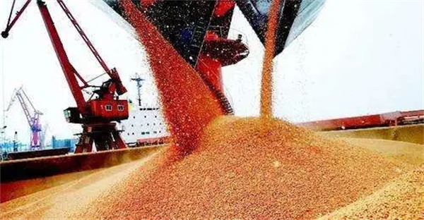 玉米跌破1.4元/斤，豆粕大跌140元/吨！饲料价格会不会大降？