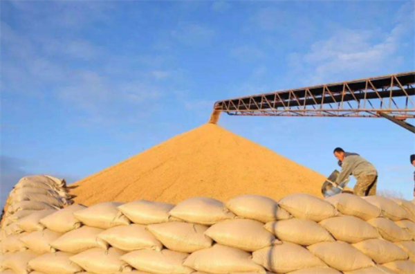 涨翻豆粕最高即将达5500元/吨，中粮、新希望、正邦、傲农等饲企宣布涨价！