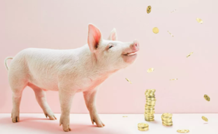 2022年全年CPI同比增长2%！猪价仍然是拖累项