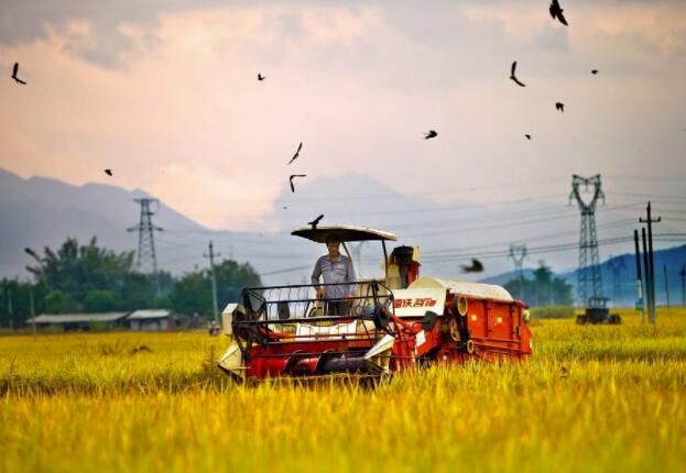 2023中国农业农村发展趋势报告发布 加快建设农业强国