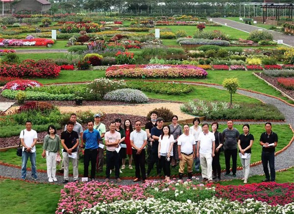 第三届上海市花坛花境植物质量评比大赛鸣锣开赛