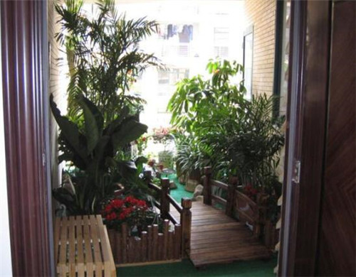 入户门口放什么植物好 这八种植物适合放在入户门口