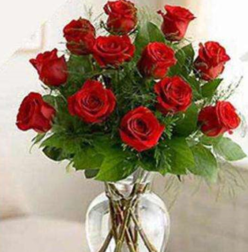 送12朵玫瑰花代表什么 送女朋友几朵玫瑰花好