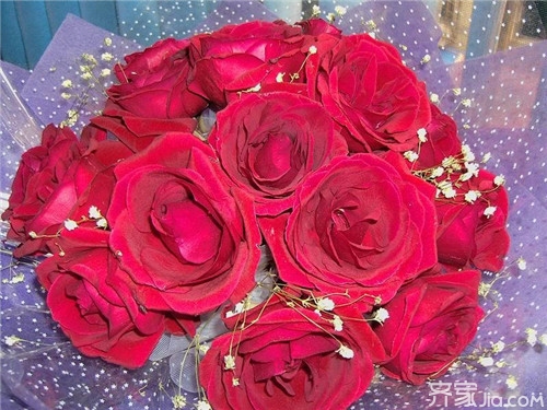 【爱情之花】玫瑰数量的含义 你了解多少？
