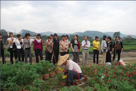 不同栽培方式的苗木灌溉方法